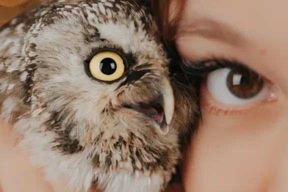 Kazino AllStar Slots Pagalba